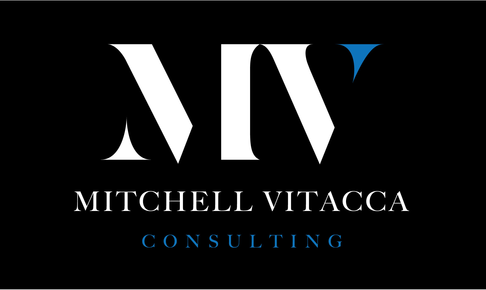 Mitchell Vitacca Consulting business image in Boerne, TX